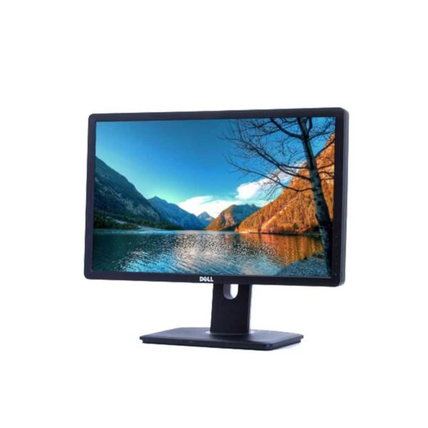 dell-p2212.jpg